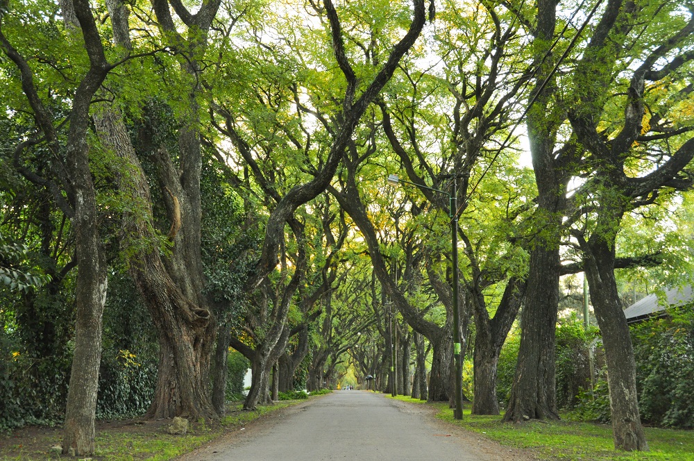 Parque Leloir